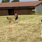 Concours de Base Montfaucon 2025