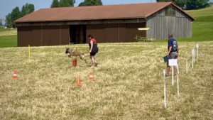 Concours de Base Montfaucon 2025