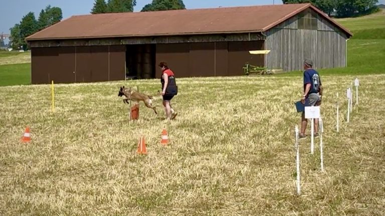 Concours de Base Montfaucon 2025