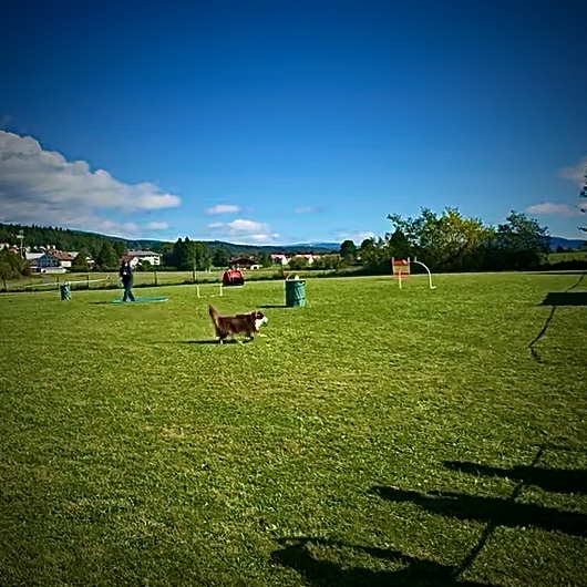 Soleil, sport et passion à la Vallée de Joux