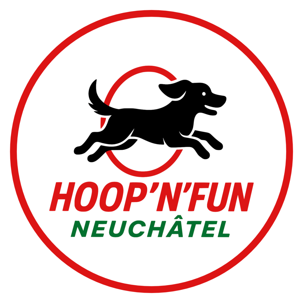 Logo Hoop'N'Fun