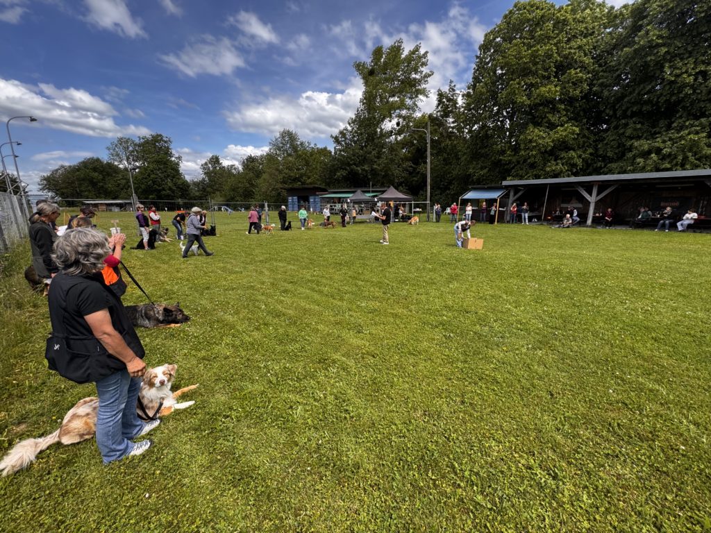 Participants et chiens lors de la parade finale du Concours de Base 2026 à Bulle