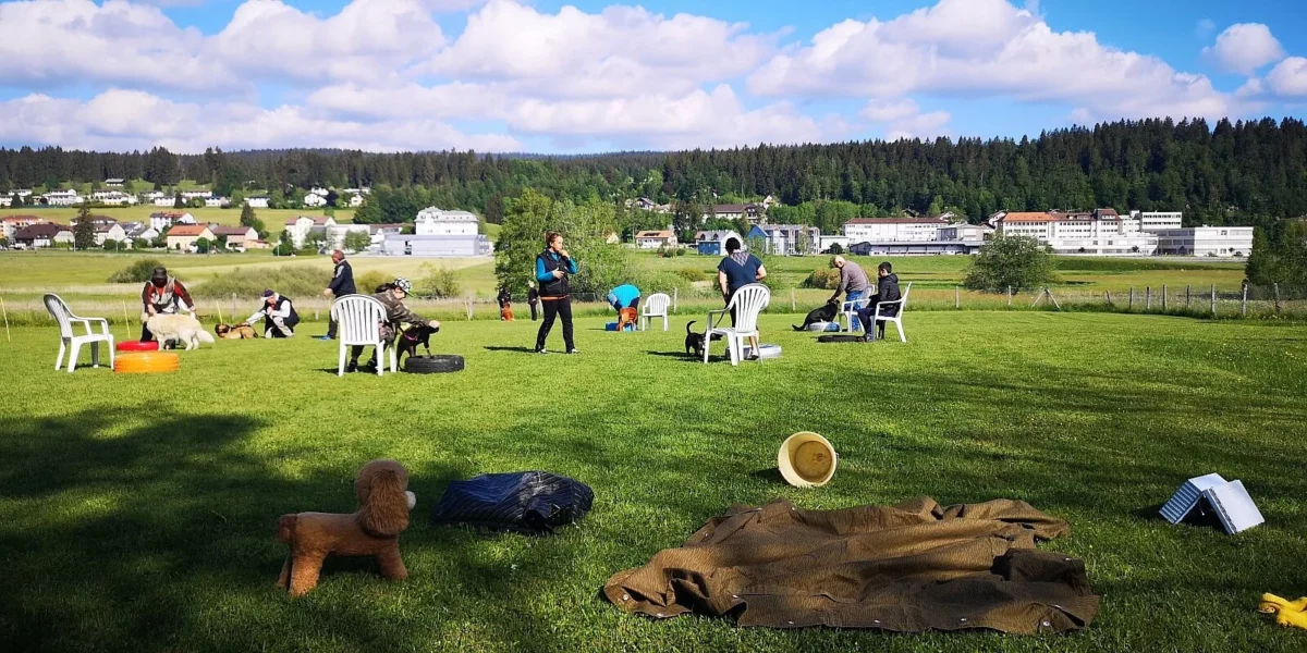 Concours de Hoopers à la Vallée de Joux – 4ᵉ manche du RHC 2026
