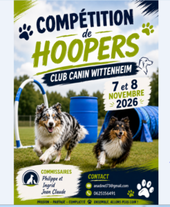 Affiche de la compétition de Hoopers du Club Canin de Wittenheim les 7 et 8 novembre 2026