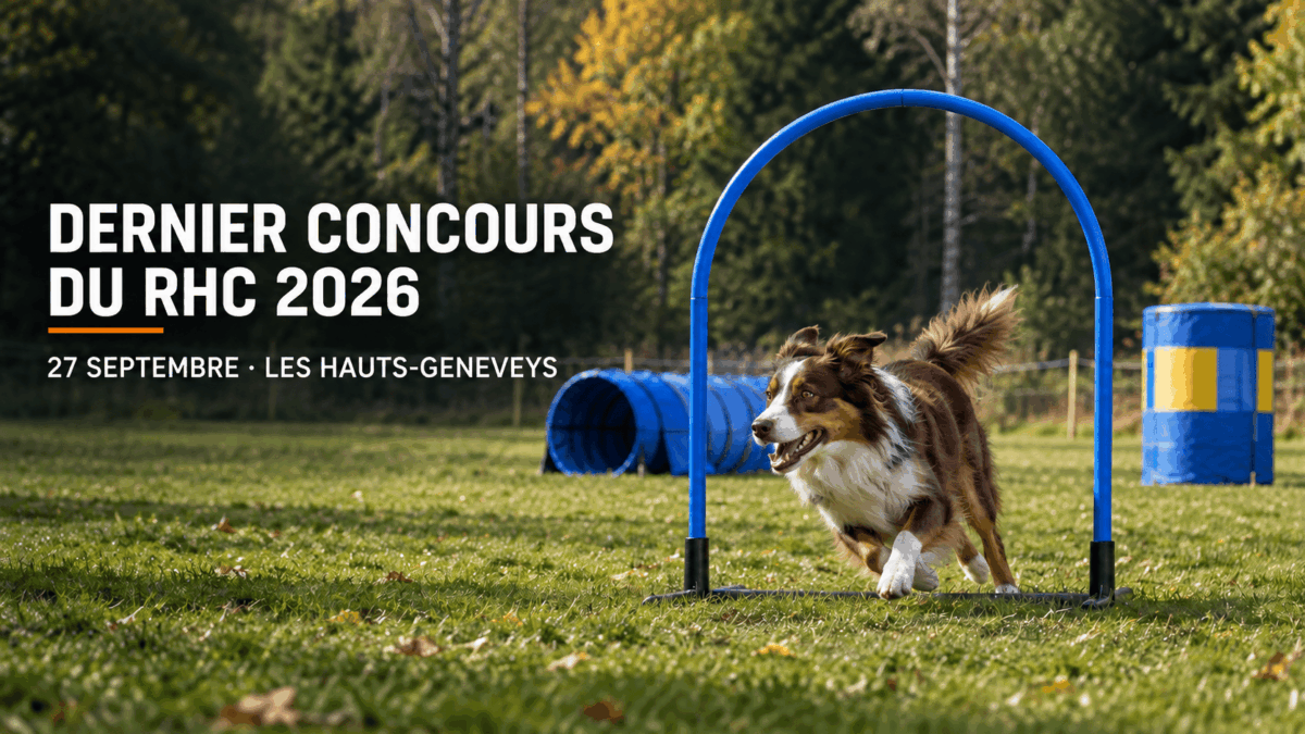 Chien franchissant un hoop pour annoncer le dernier concours du RHC 2026 aux Hauts-Geneveys